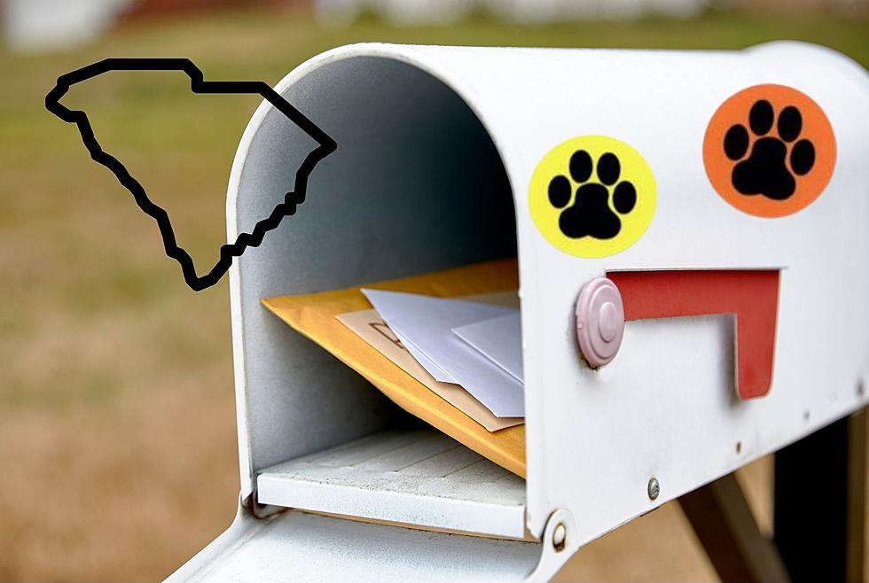 South Carolina If You See A Paw Print Sticker On Your Mailbox, Don’t Touch It