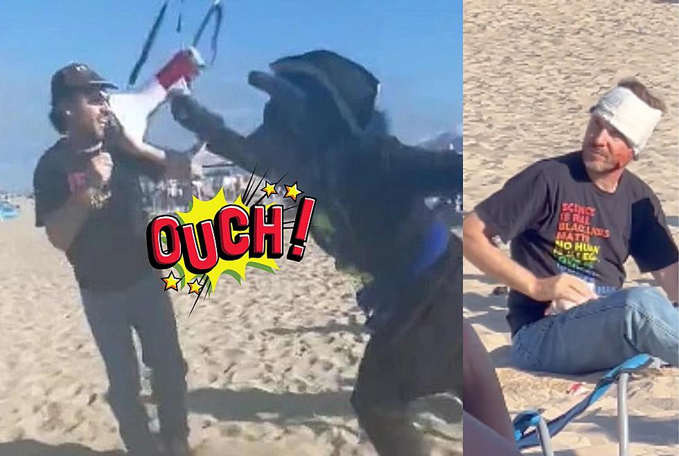 California Furry Meet Up Ended In Fight When Man Got Hit With A Megaphone