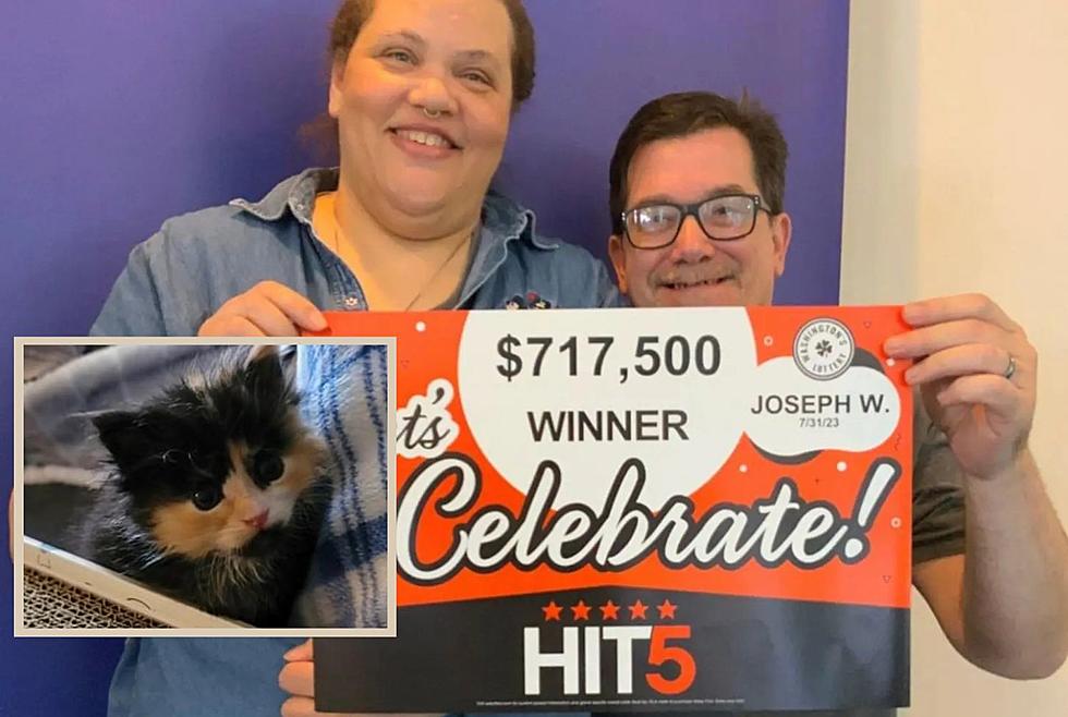 Washington Mailman Wins Lottery Jackpot After Saving Lucky Kitten