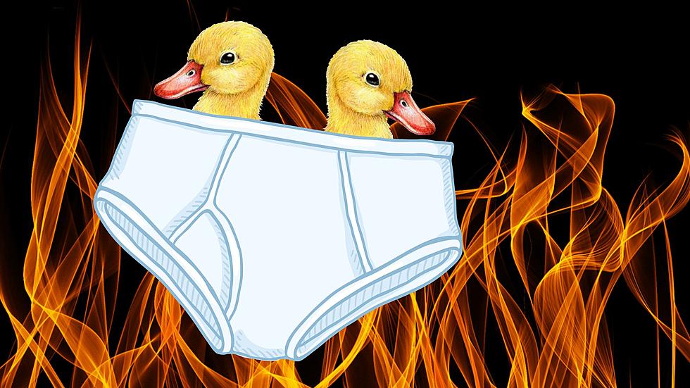 Australian Arsonist Had Multiple Ducklings In His Underwear