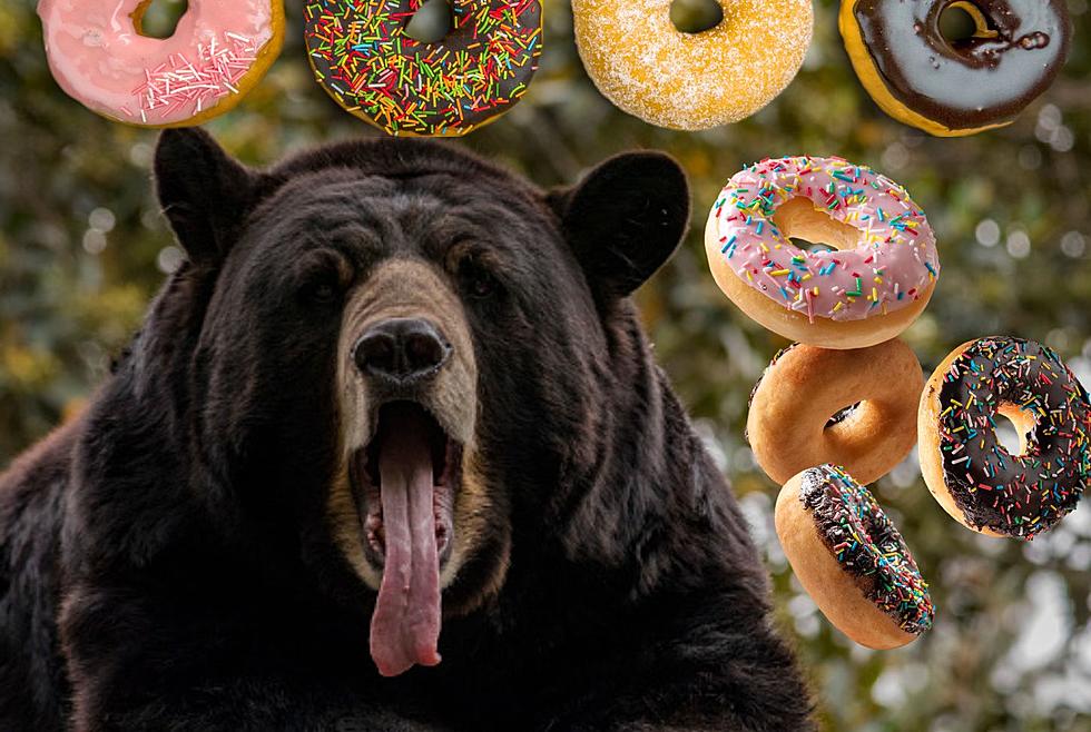 Alaska Krispy Kreme Truck Gets Raided By Mama Bear and Cub