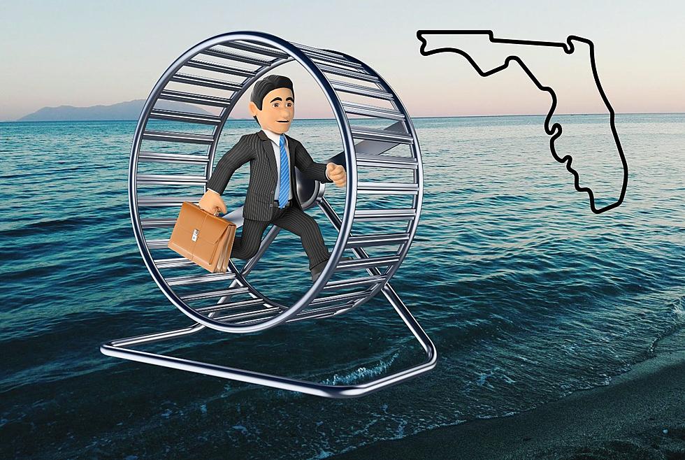 Florida Man Arrested After Trying To Cross Atlantic In Hamster Wheel