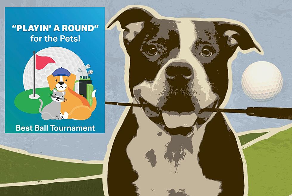 An Illinois Golf Outing Is Raising Awareness For Homeless and Injured Animals
