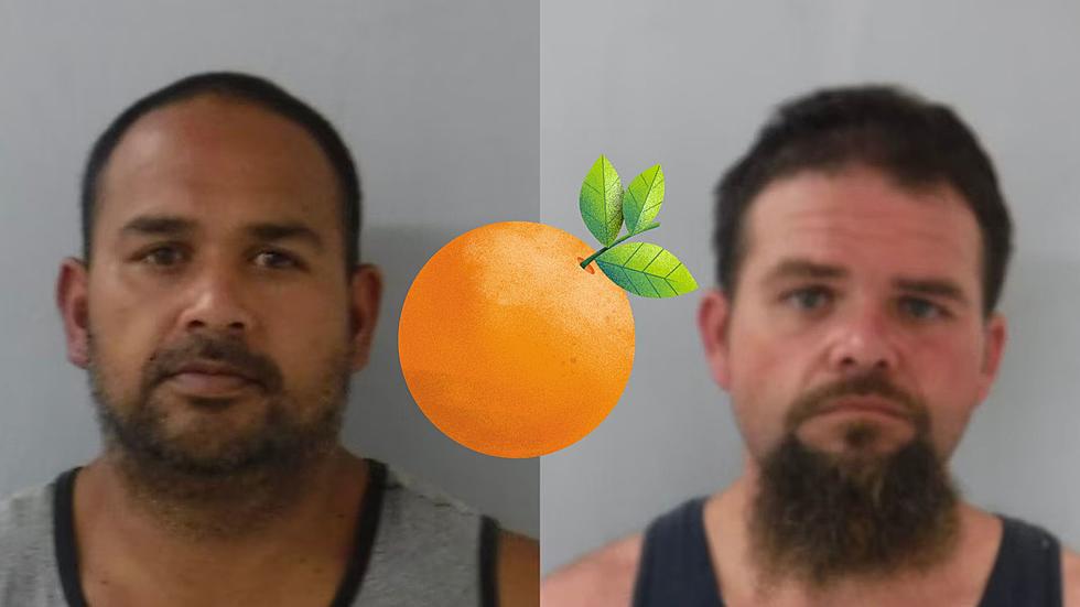 Hawaii Men Charged After Stealing A Felony Amount of Oranges
