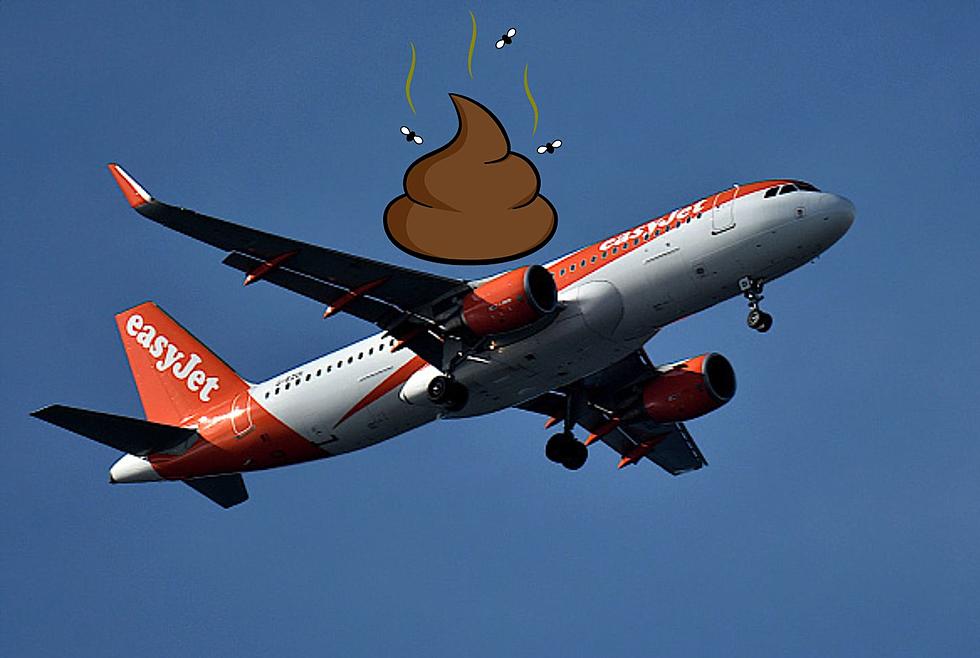 Another Flight Canceled Due To A Defecation Incident