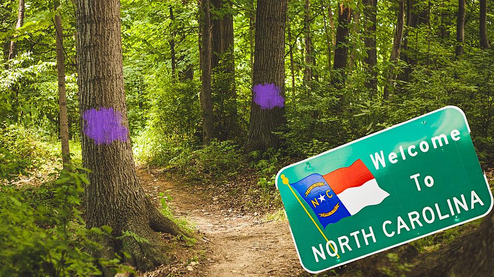 If You See Purple Paint in North Carolina, Turn Around And Leave