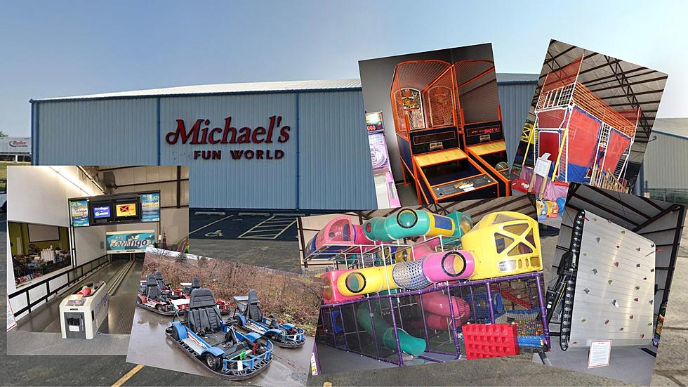 ALL Games and Fixtures At Michaels Fun World At Auction