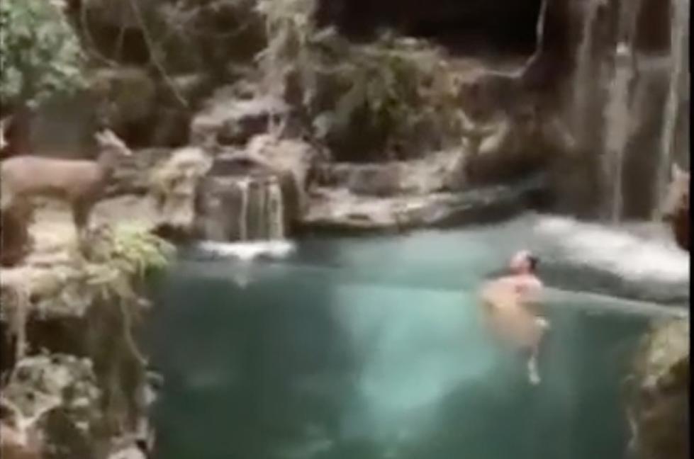 Man Strips Naked, Jumps Into Bass Pro Aquarium and Knocks Himself Out