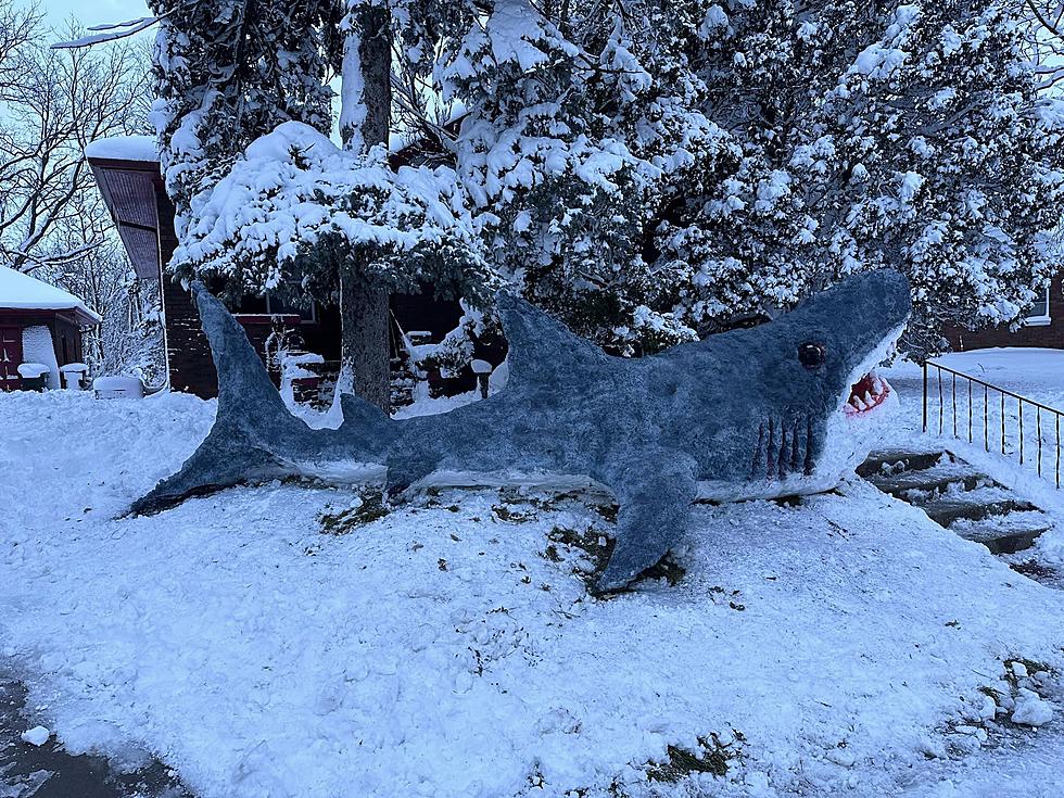 Iowa Artist Creates A 20-Foot-Long Great White Shark From Snow