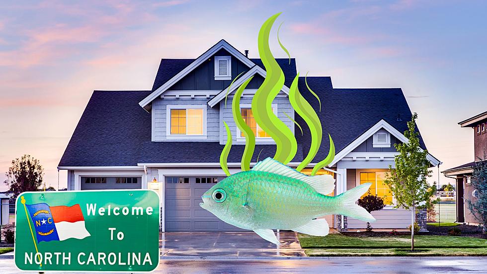 North Carolina, If There Is A Fishy Smell In Your Home, Leave