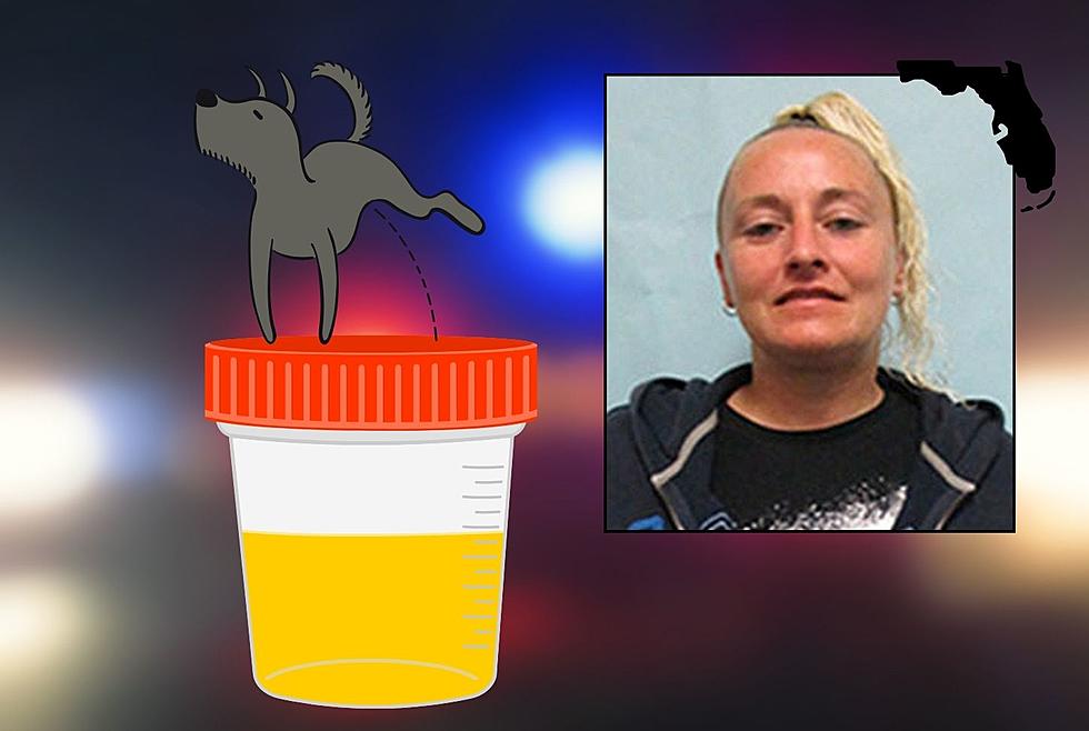 Florida Woman Fakes Her Drug Test By Replacing Her Urine With Dog Pee