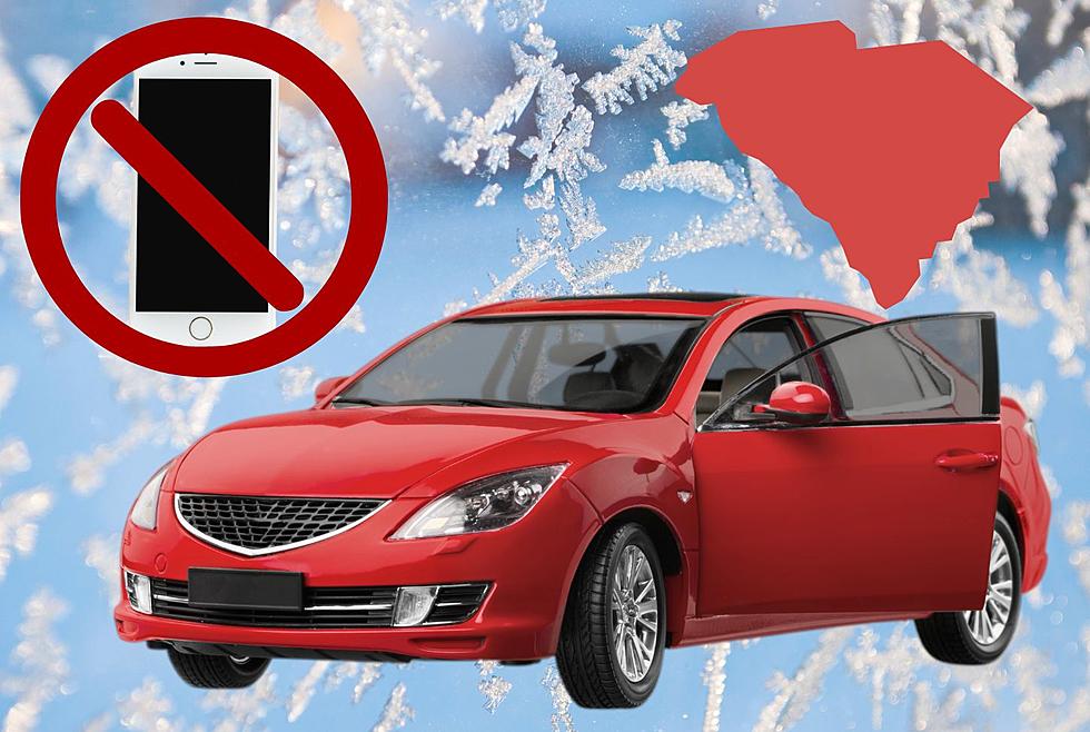 South Carolina, Don’t Leave These 6 Items in Your Vehicle When It’s Freezing