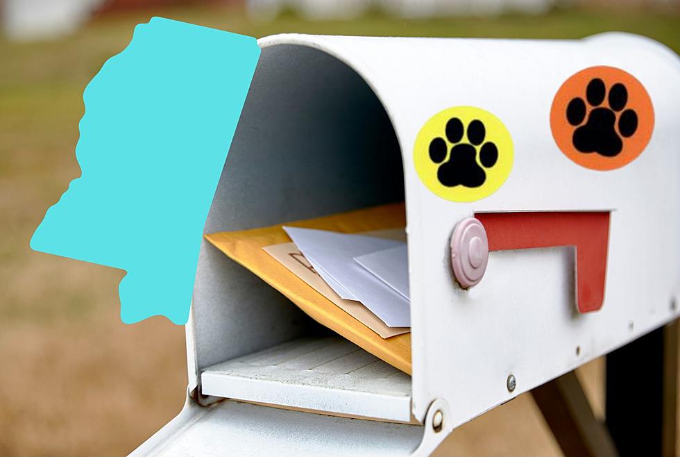 Mississippi, If You See A Paw Print On Your Mailbox, Leave It Alone