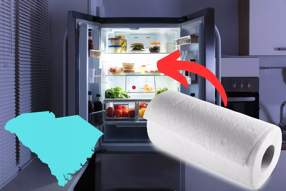 Life Hack: South Carolinians Are Putting Paper Towels In Their Fridge