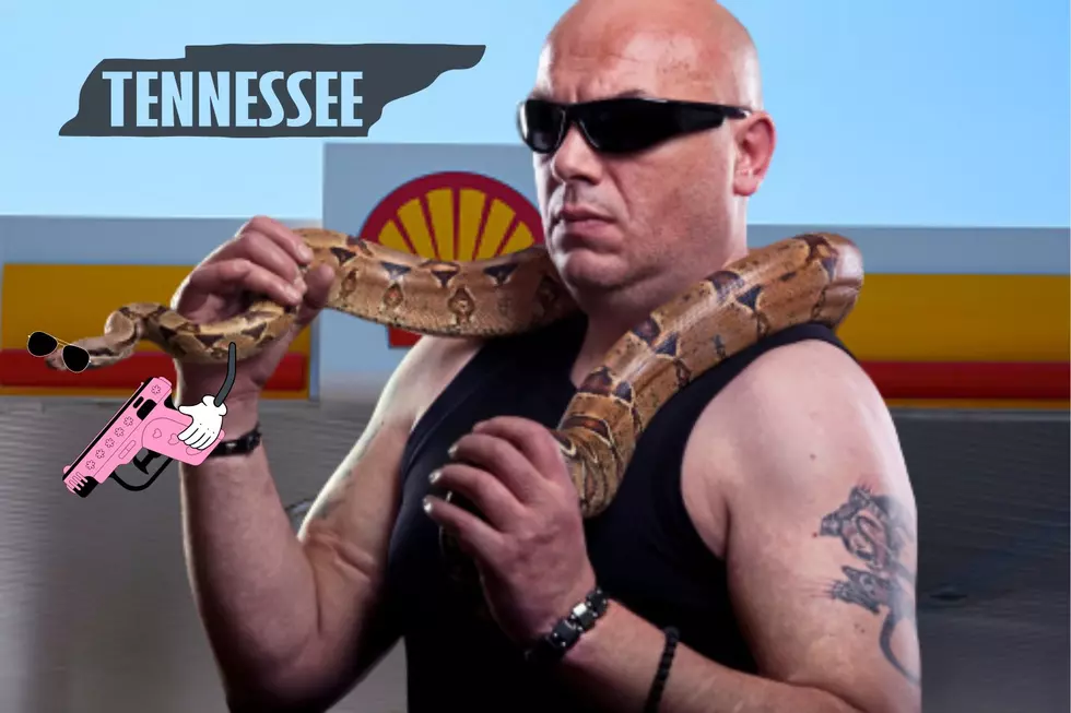 Tennessee Man Used Snake As Weapon Attempting To Rob Gas Station