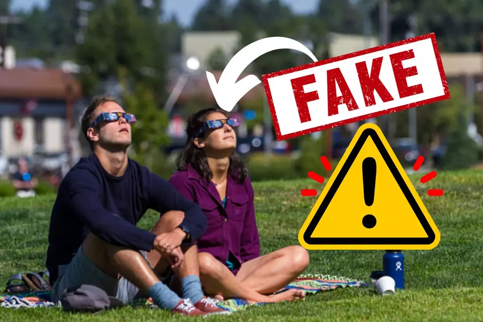 Tennessee AAS Issues Warning Beware of Counterfeit Eclipse Glasses