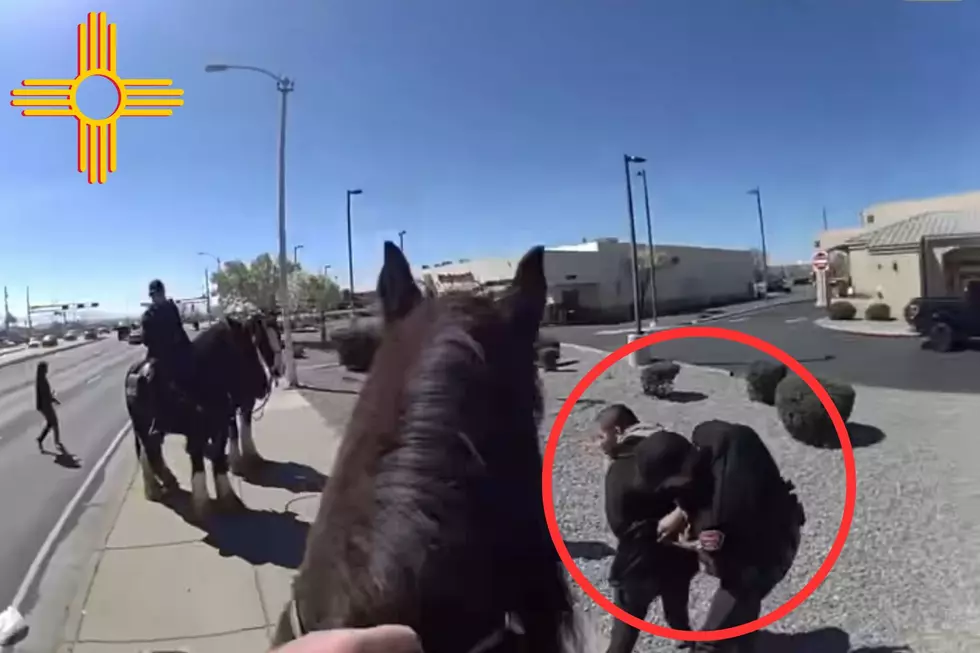 Albuquerque Police Apprehend Shoplifting Suspect in Dramatic Horseback Pursuit