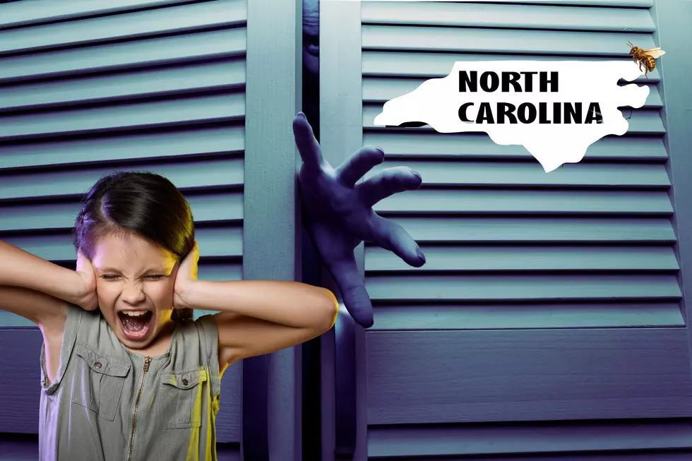 North Carolina Monsters In The Wall Complaints Lead to Discovery of…