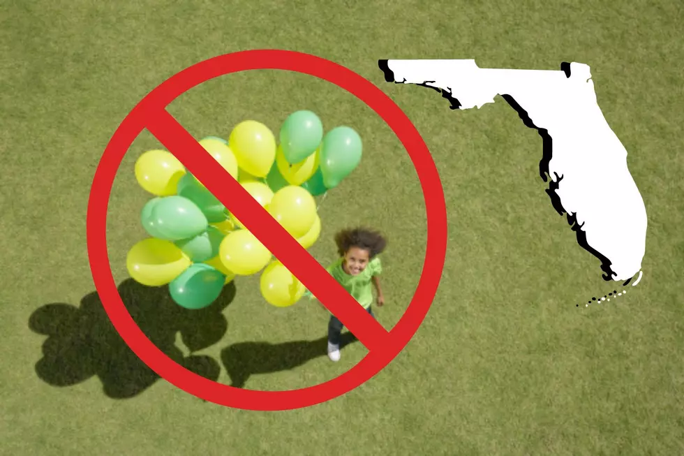 New Law Coming To Florida Will Affect Parties and Gender Reveals