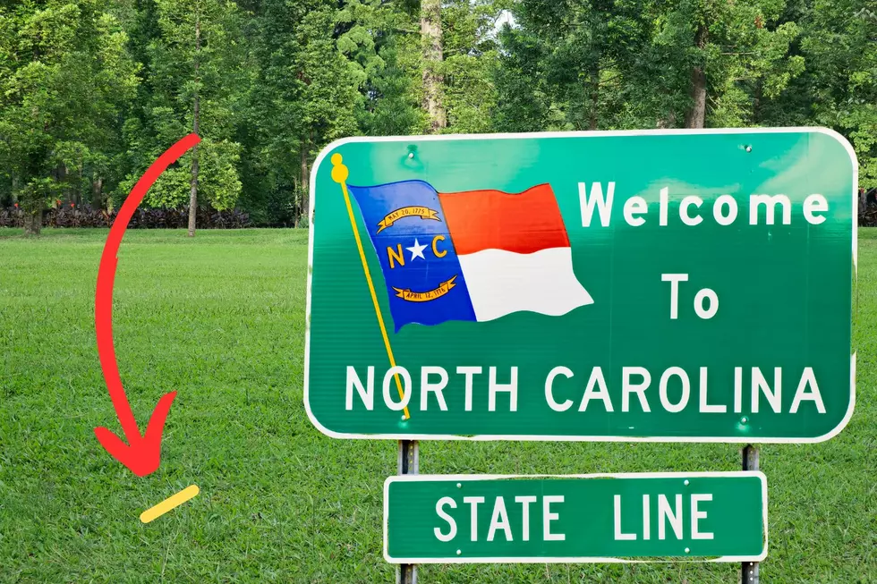 North Carolina, If You See A Bright Yellow Stripe In Your Yard, Run