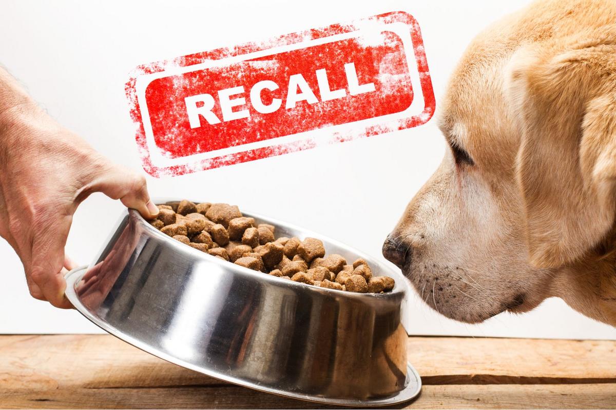 Wisconsin Pet Food Company Recalls Treats Over Salmonella Concerns