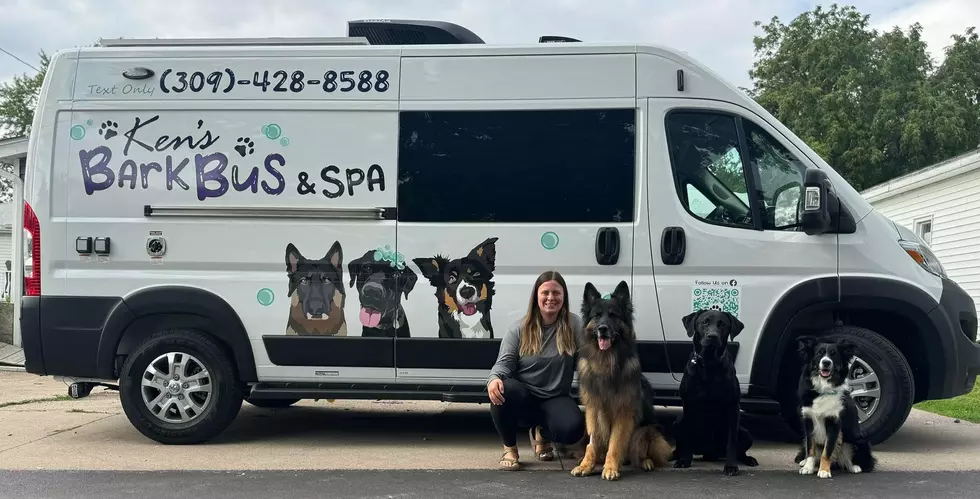 Ken's Bark Bus