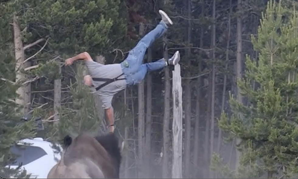 Tourist Grandpa Gets Tossed 8 Feet In The Air By A Bison