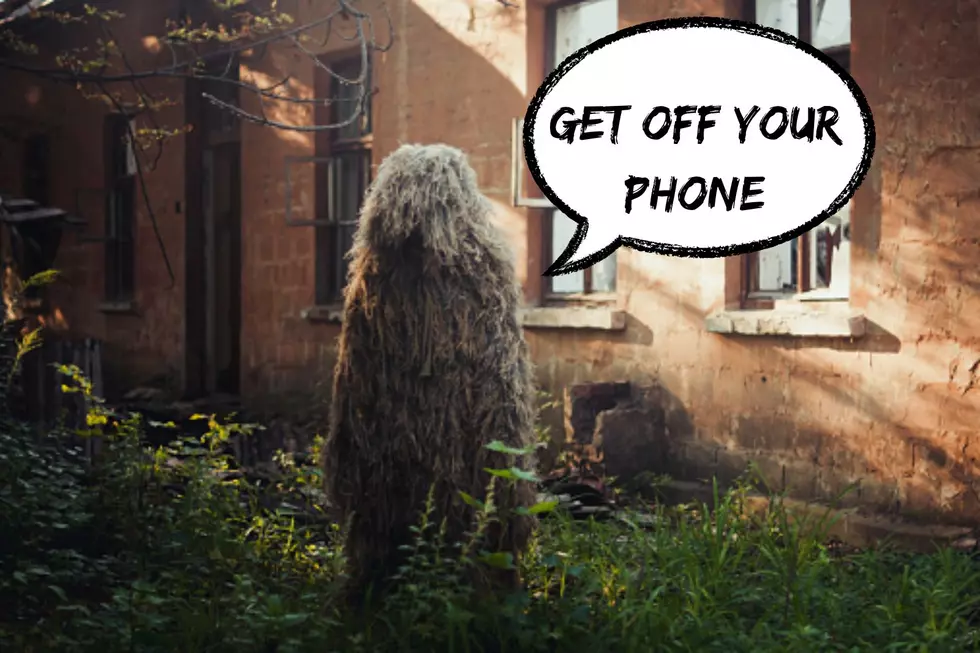Police Are Dressing Up as Bushes to Catch Distracted Drivers