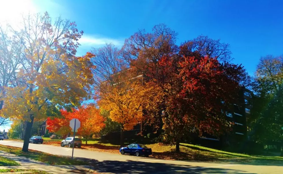 Rochester City Workers Might Be Snooping Around Your Yard Today