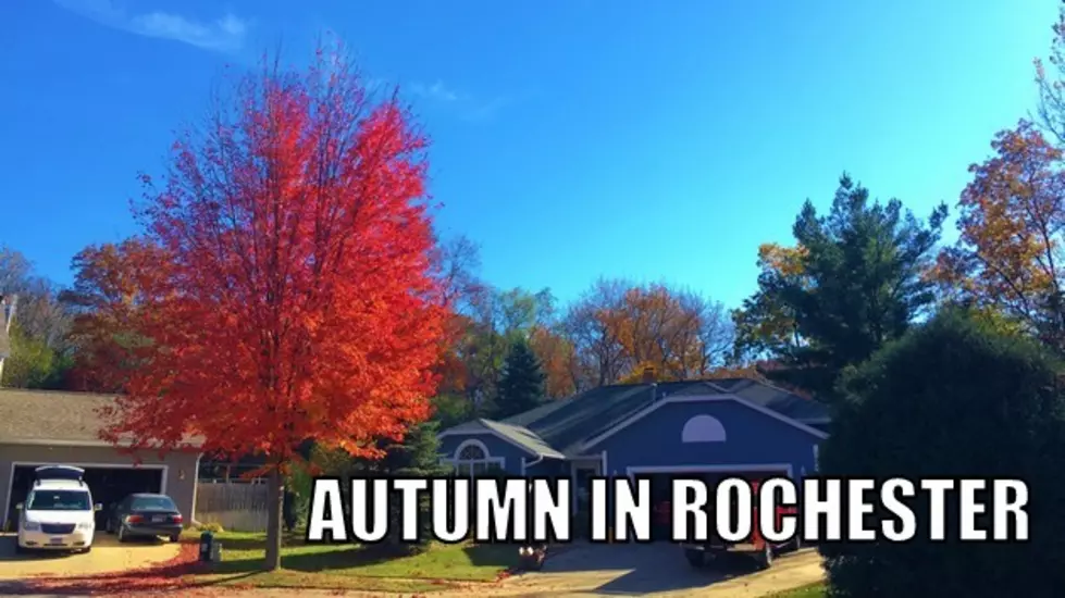 Autumn in Rochester – [Photos]