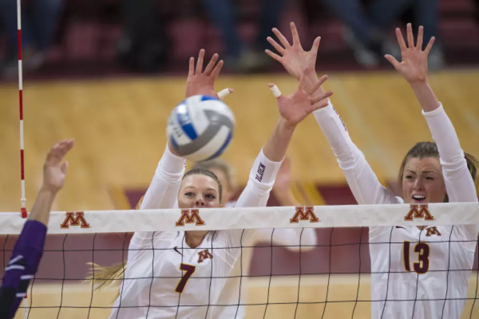 Gophers Fall to Michigan State