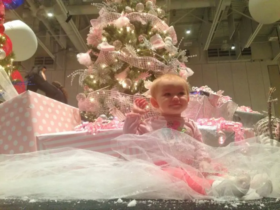 Rochester Memories of Festival of Trees! [Video]