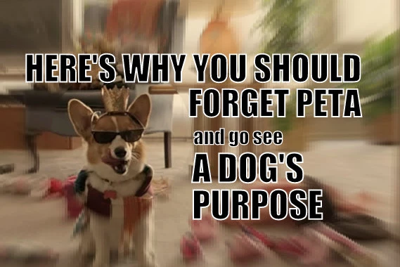 a dogs purpose peta
