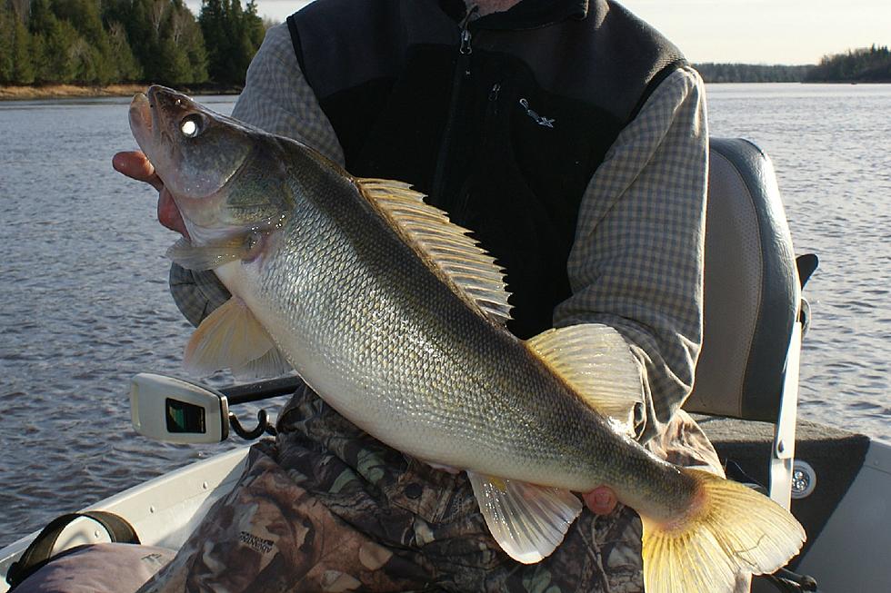 5 Amazing Fishing Spots In Southeast Minnesota