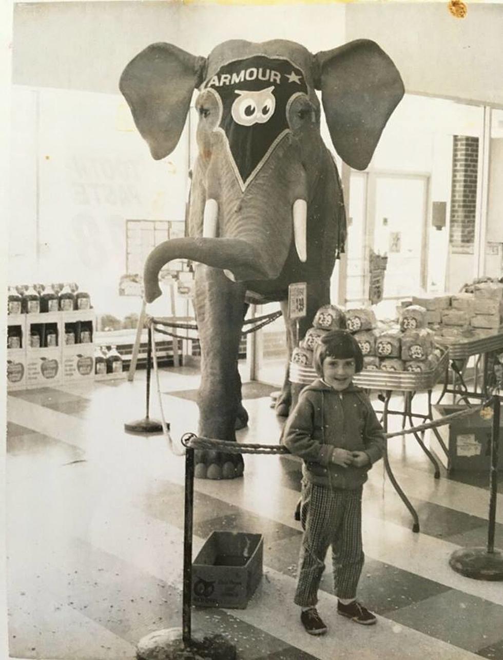 Do You Remember This Rochester Elephant?