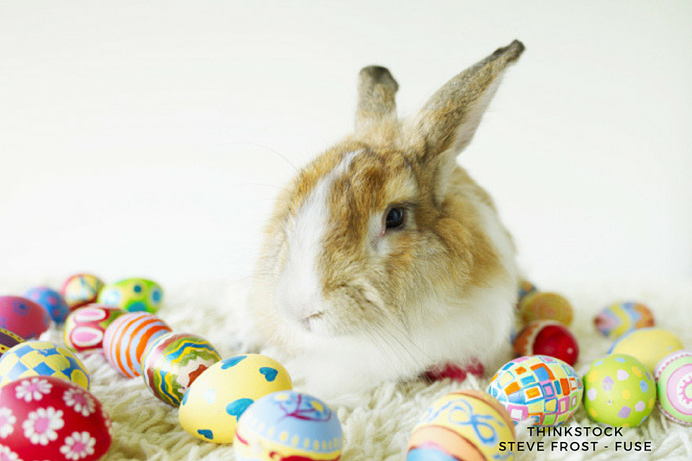 Take a Selfie With The Easter Bunny!  (even your pets can get in on the fun)