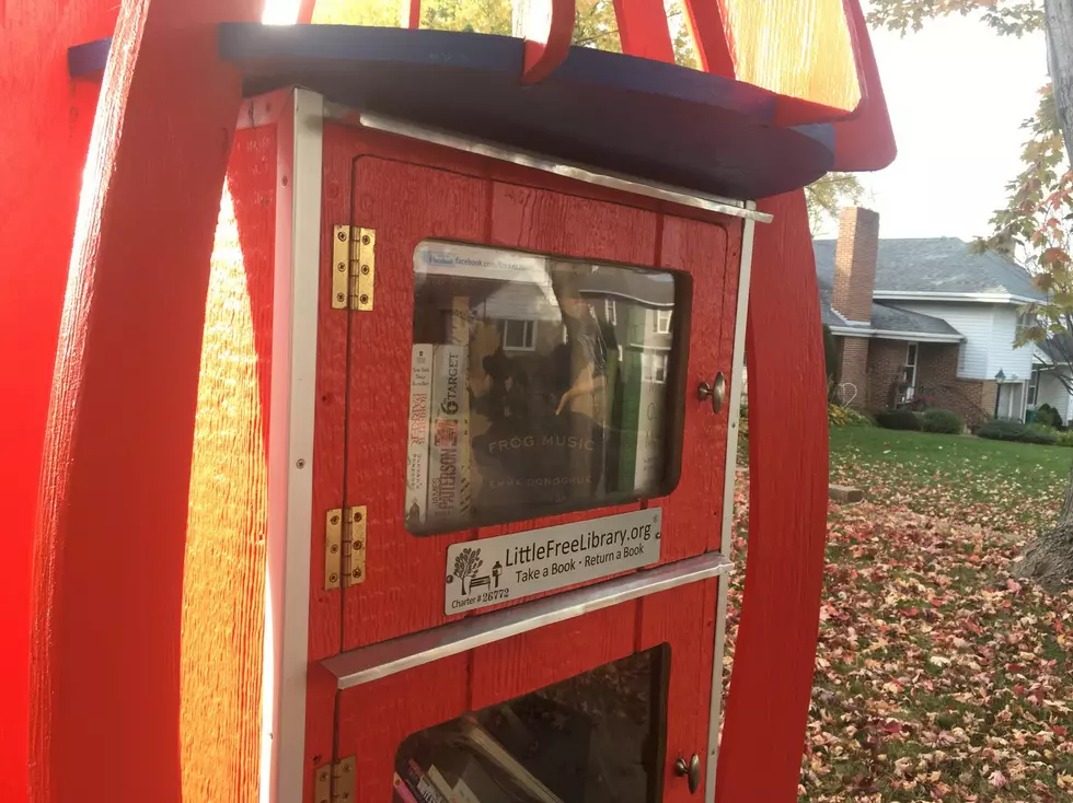 Is There Porn In Faribault&#8217;s Free Little Libraries?