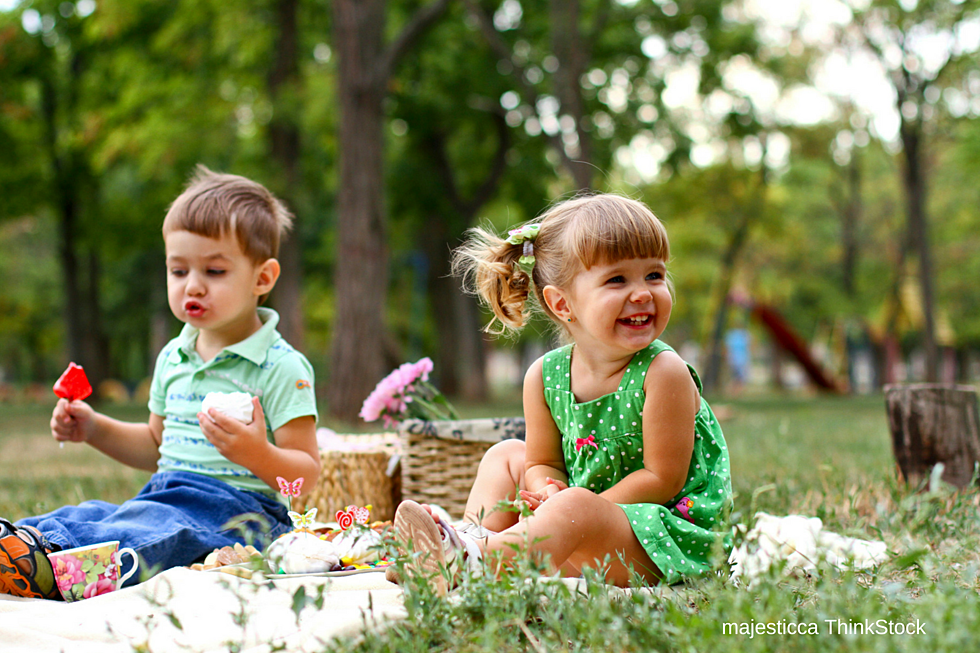 Fun Picnic Ideas With Kids…And A Safety Reminder For Parents!