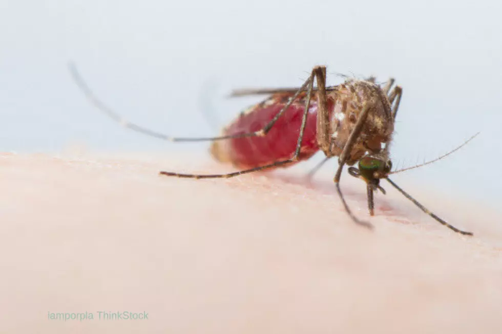 Deadly West Nile Outbreak Hits Iowa