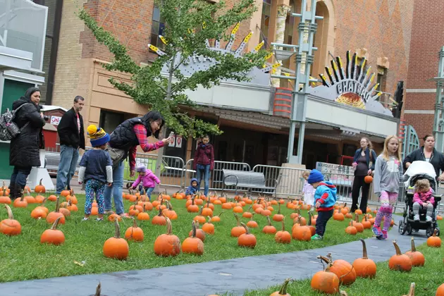 New Events Added For Rochester&#8217;s Fall Fest