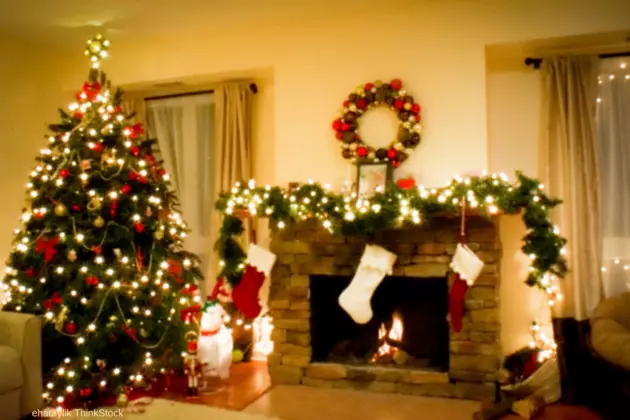 5 Christmas Trees That Can Be Delivered To Your House For Free