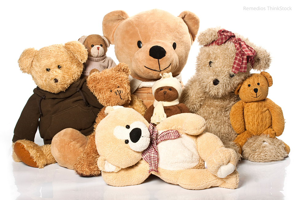 Rochester Public Library Hosting A Stuffed Animal Sleepover