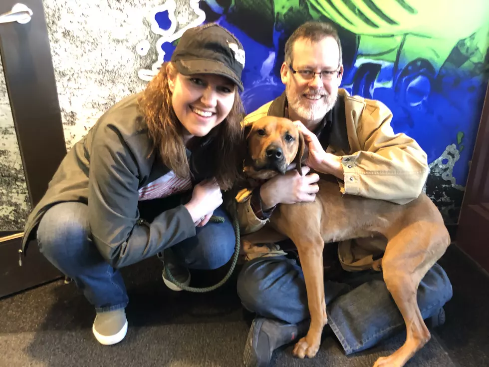 Recent Guest on Y-105FM Needs A Forever Home