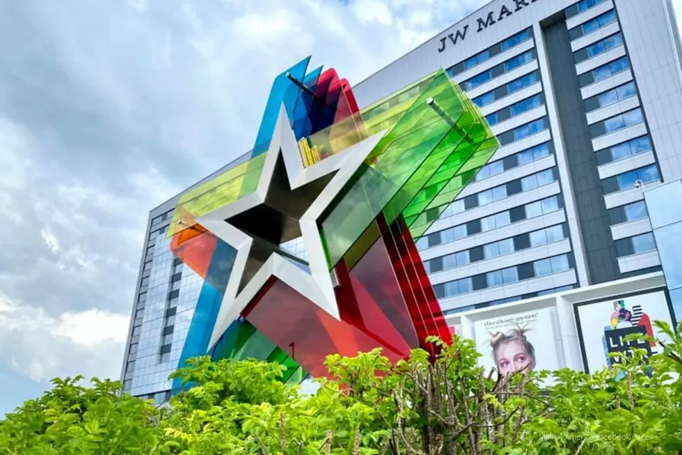 Fair Themed Attraction Opening at the Mall of America