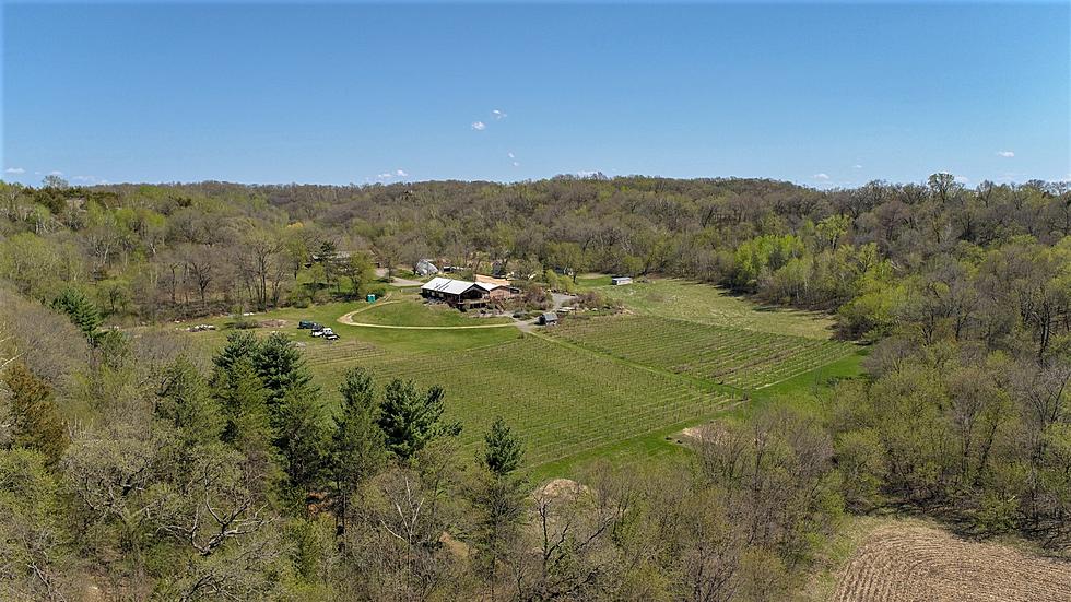 $1,584,000 Red Wing House for Sale...Comes w/Bonus Vineyard