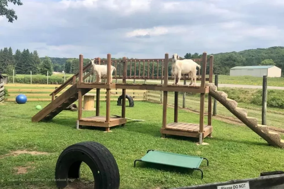 Southeast Minnesota Has A Brand New Playground For The Kids