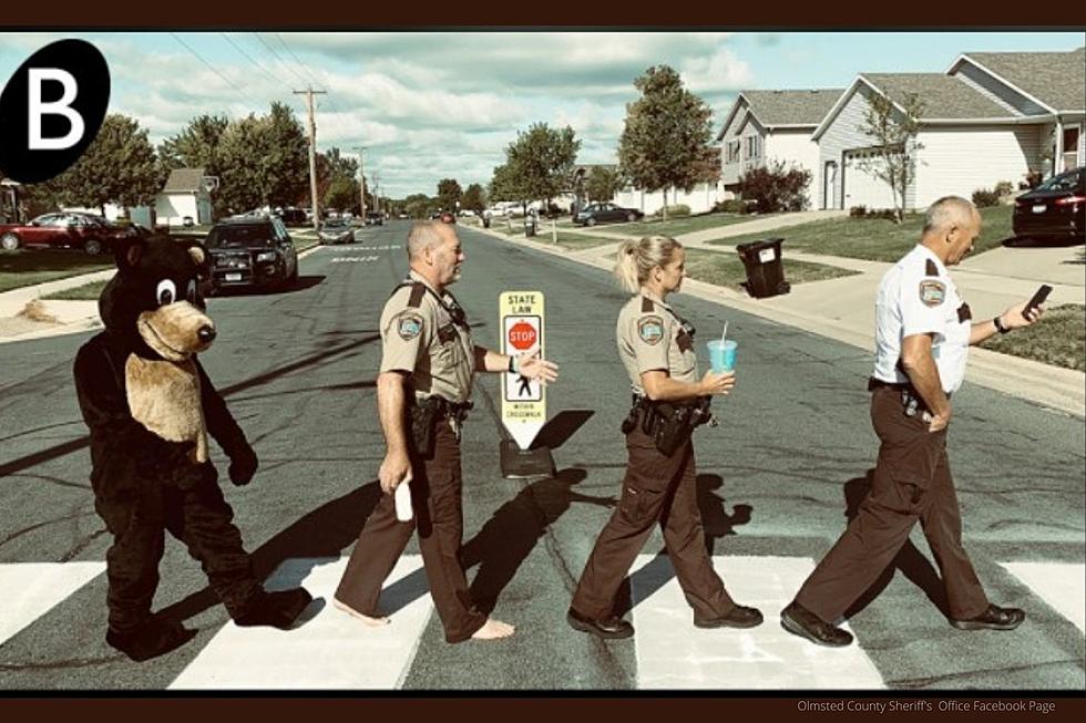 Olmsted County Sheriff Deputies and Local School Mascots Go Viral With Recreation of Famous Photo