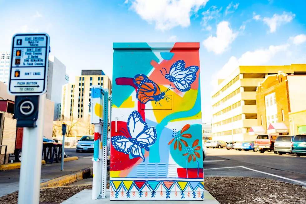 Rochester Downtown Utility Boxes Go From Eyesores to Eye Smiles