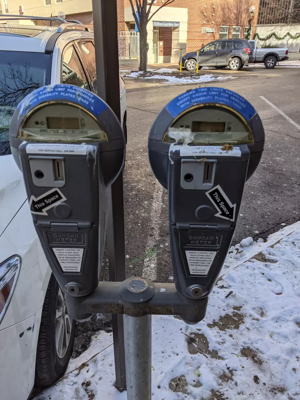 Here&#8217;s Why Rochester&#8217;s Bird Poop Hasn&#8217;t Been Cleaned Up Yet