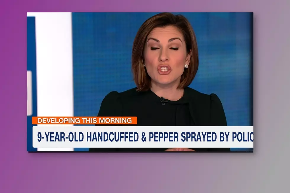 9-Year-Old NOT Pepper Sprayed By Rochester Minnesota Police